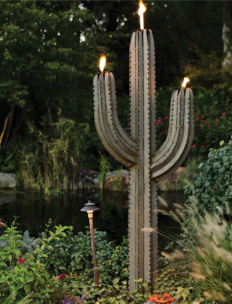 Saguaro Cactus with Three Torches
