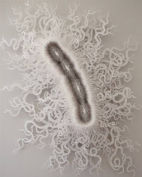 Laser Cut Paper Art Nature Inspired Magic Circle By Artist Rogan Brown (6)