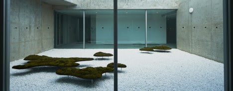 minimalist homes courtyard