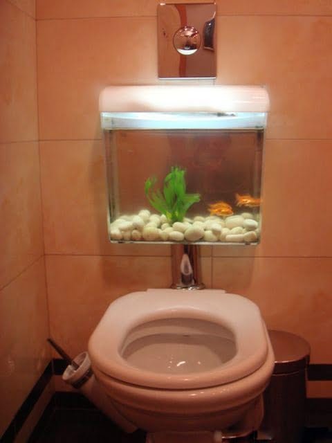 stylish water closet with fish flushing tank